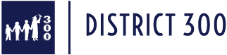 Community Unit School District 300 logo